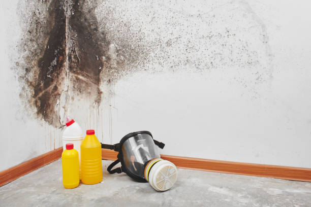 Best Emergency Mold Removal  in Lawrence, MA