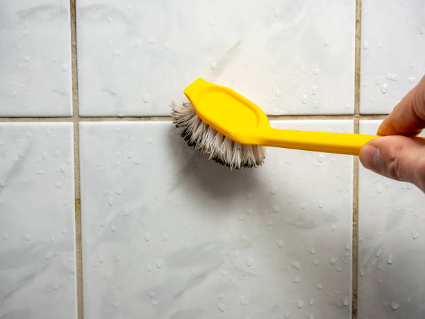 Best Mold Removal Near Me  in Lawrence, MA