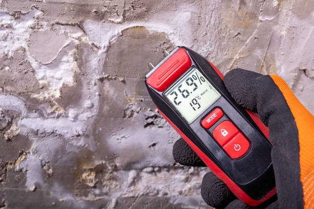 Best Mold Cleaning Services  in Lawrence, MA