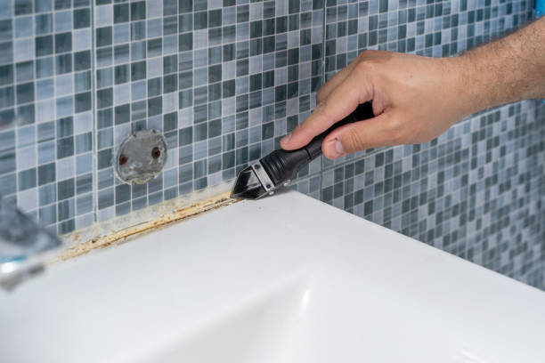Best Mold Removal Company Near Me  in Lawrence, MA