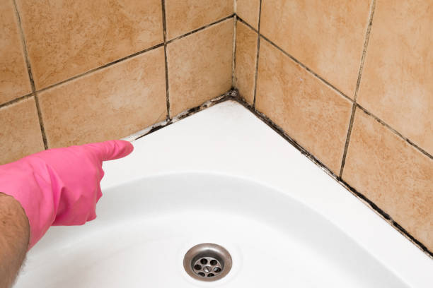 Best Mold Testing  in Lawrence, MA